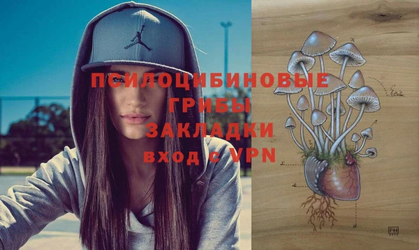 ГАЛЛЮЦИНОГЕННЫЕ ГРИБЫ Красноперекопск