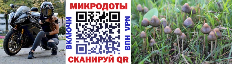 Галлюциногенные грибы MAGIC MUSHROOMS дарк нет наркотические препараты Архангельск как найти закладки